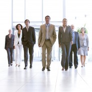 meet the team